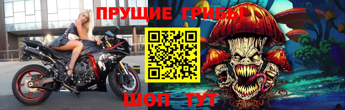 Новоуральск  Псилоцибиновые грибы мицелий  Вход с VPN 