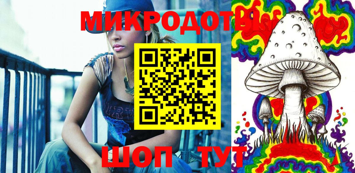 Галлюциногенные грибы Psilocybe Новоуральск